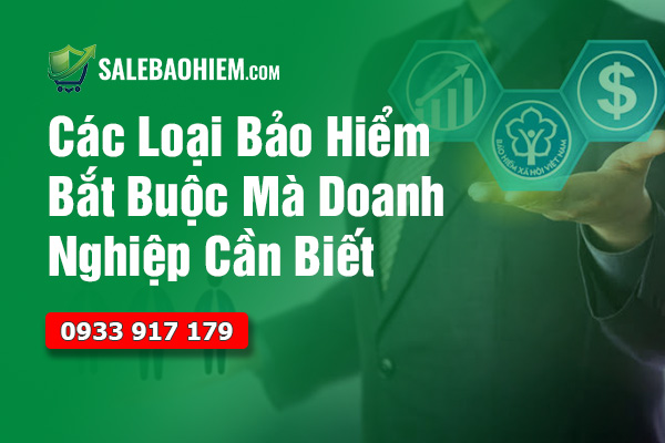 Các Loại Bảo Hiểm Bắt Buộc Mà Doanh Nghiệp Cần Biết